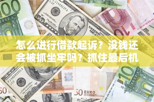 武汉怎么进行借款起诉？没钱还会被抓坐牢吗？抓住最后机会！