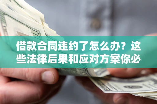 武汉借款合同违约了怎么办？这些法律后果和应对方案你必须知道