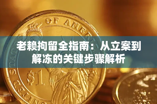 武汉老赖拘留全指南：从立案到解冻的关键步骤解析