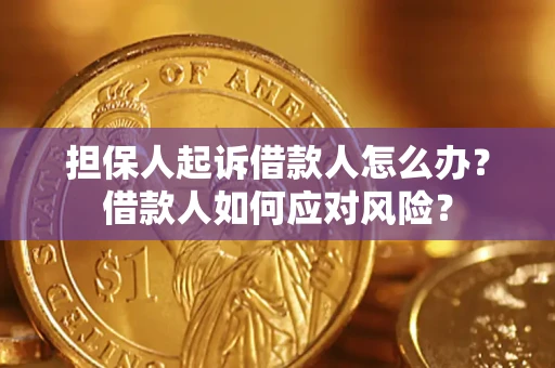 武汉担保人起诉借款人怎么办？借款人如何应对风险？