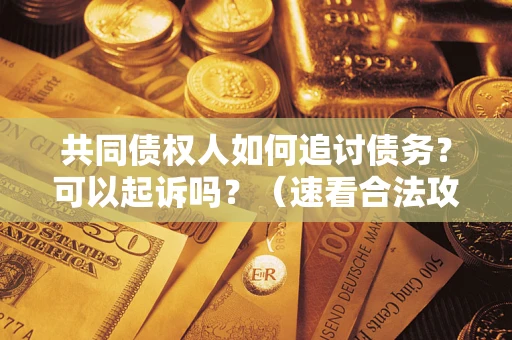武汉共同债权人如何追讨债务？可以起诉吗？（速看合法攻略）