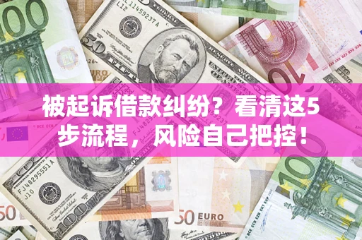 武汉被起诉借款纠纷？看清这5步流程，风险自己把控！