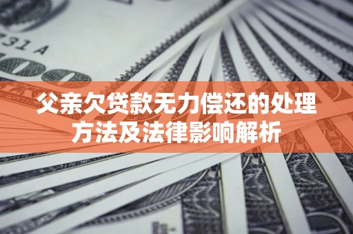 武汉父亲欠贷款无力偿还的处理方法及法律影响解析