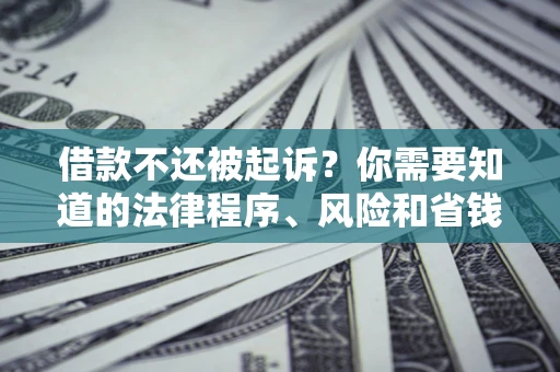 武汉借款不还被起诉？你需要知道的法律程序、风险和省钱技巧