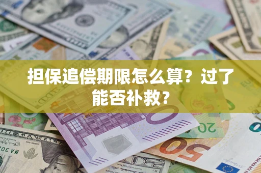武汉担保追偿期限怎么算？过了能否补救？